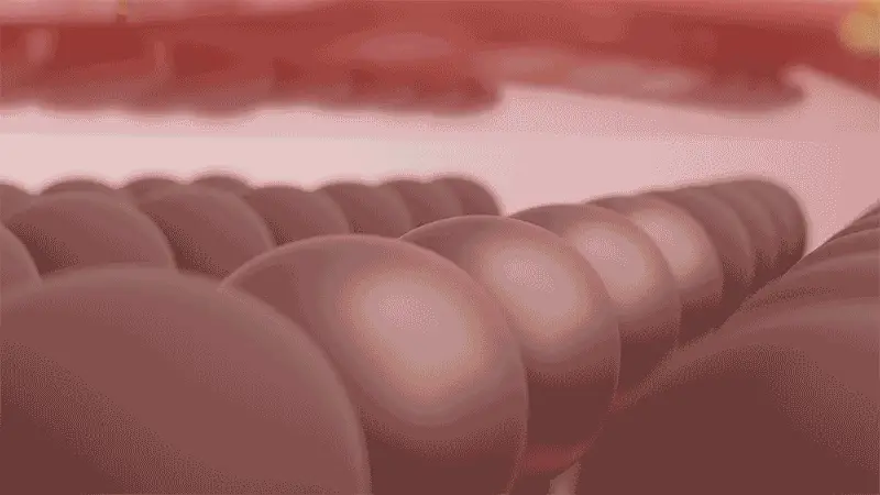 [리필] 이지듀 기미 앰플 쿠션 리필 15g 상세페이지 16